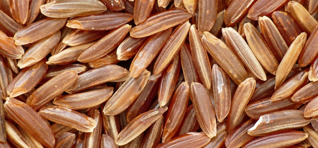 Monacolina K: una gran ayuda para reducir el colesterol